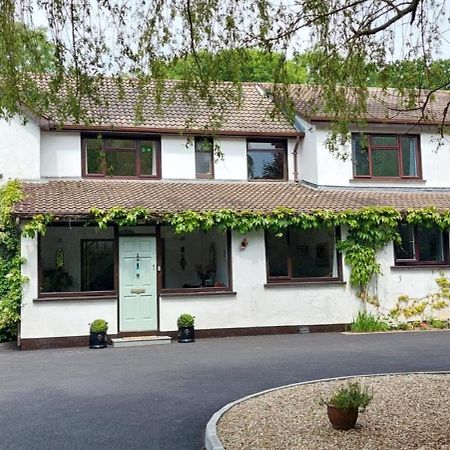 Riverfield Bed And Breakfast Gorey Eksteriør billede