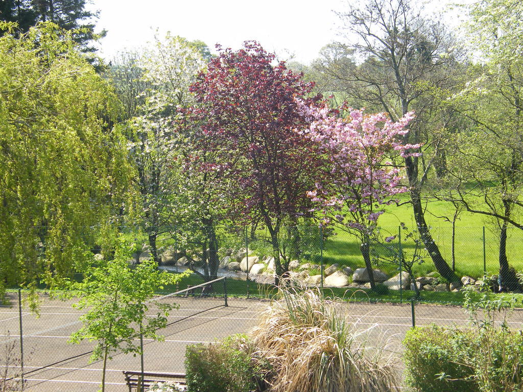 Riverfield Bed And Breakfast Gorey Eksteriør billede