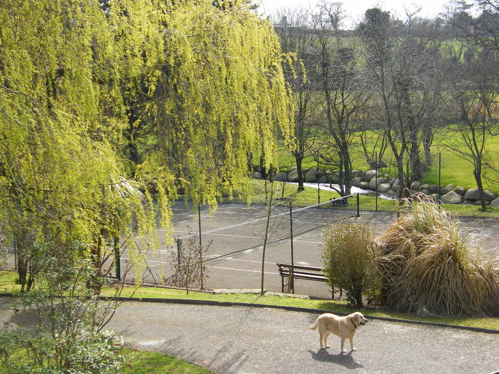 Riverfield Bed And Breakfast Gorey Eksteriør billede