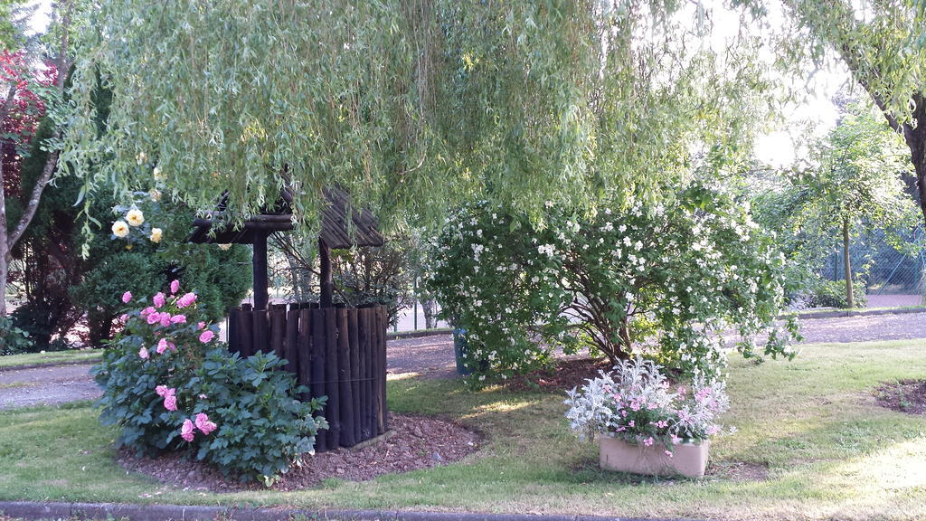 Riverfield Bed And Breakfast Gorey Eksteriør billede
