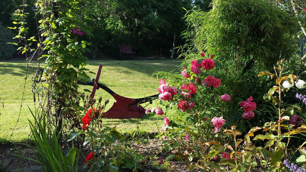 Riverfield Bed And Breakfast Gorey Eksteriør billede