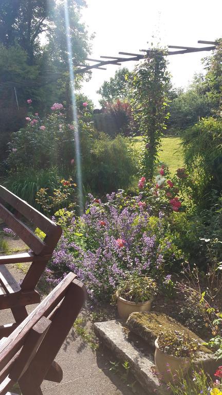 Riverfield Bed And Breakfast Gorey Eksteriør billede